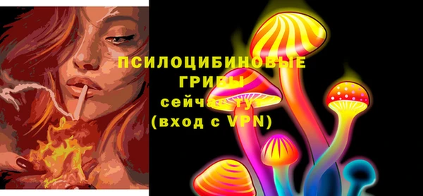 кокс Бородино