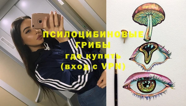 прущий лед Бронницы