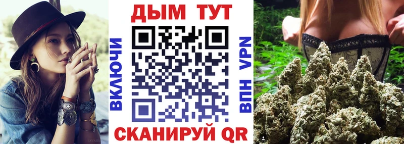 Конопля MAZAR Кириллов